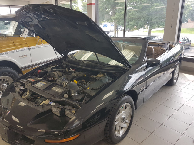 95 Camaro Z28 convertible in Cars & Trucks in Ottawa