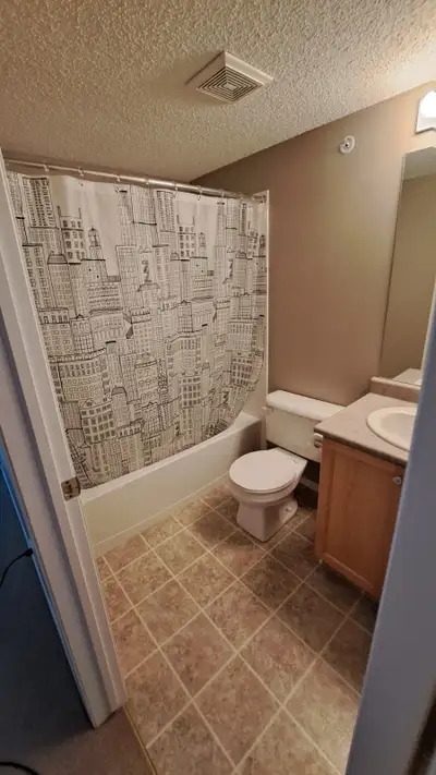 A single female is looking for a single female roommate. This unit is in the Iron Horse complex in A...