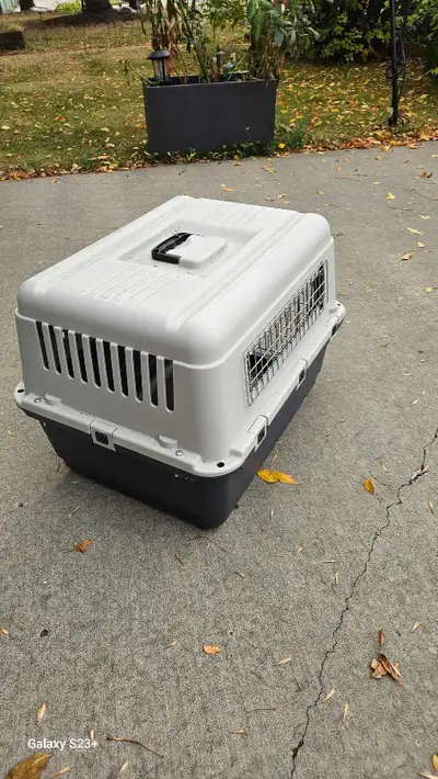 Plastic dog kennel, View more
