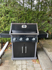 Napoleon Rogue 525 gas bbq