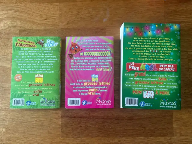 Livre jeunesse MiniBIG et/ou BIG  in Children & Young Adult in Longueuil / South Shore - Image 3
