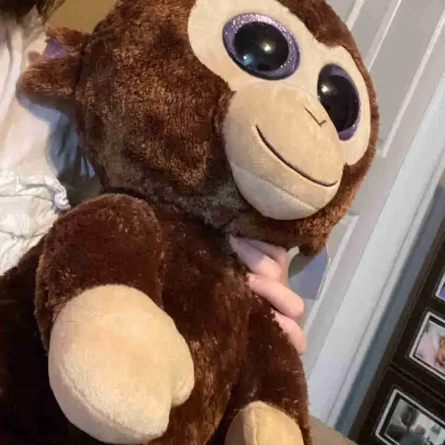 Coconut the monkey ty beanie boo in Toys & Games in St. John's - Image 2