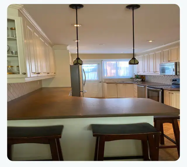 ParkEx 4 1/2 fully renovated apt-UQAM-Parc metro