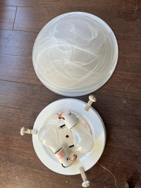 Used 12" Ceiling light -  -8 piece ($10 each or $60 for all 8)