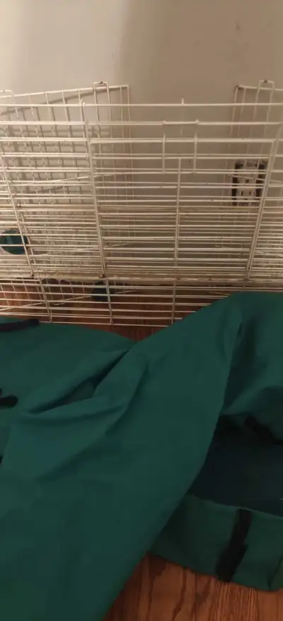 guinea pig cage free, View more