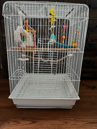 Bird cage