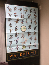 Ducks Unlimited Waterfowl Poster Duck Geese Swan