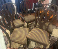 Beautiful dining chairs 