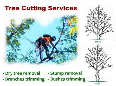 Tree Services in Richmond Hill and Aurora area, View more