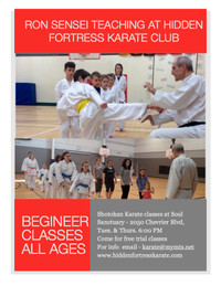 Karate Classes, 2050 Chevrier, Soul Sanctuary