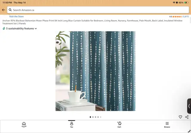 Blue Curtains454687496204472320