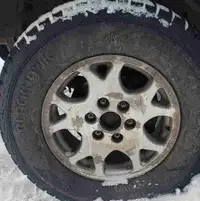 Blackhawk Ice Prey Winter Studded Tires 