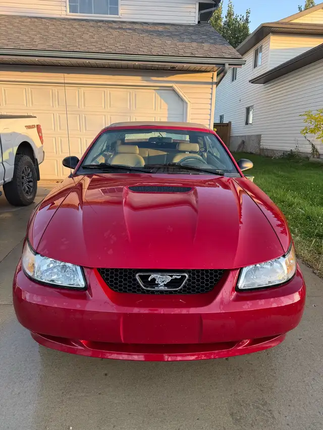 2000 Mustang 3.8L 567435742046464003