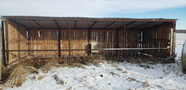 horse shelter/calf shelter in Equestrian & Livestock Accessories in Red Deer - Image 3