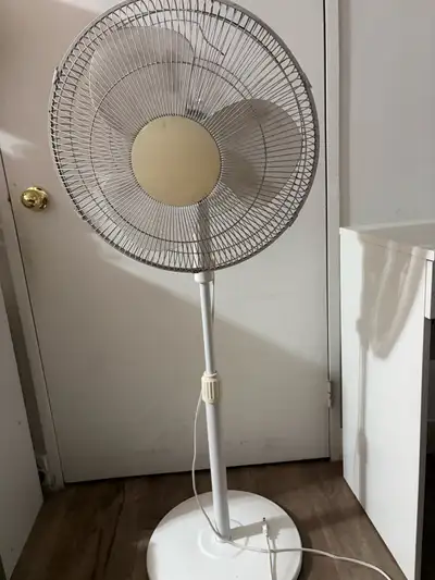 Standing Fan, View more