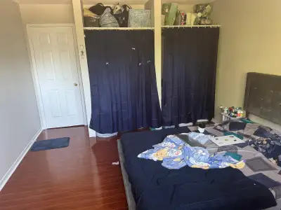 Room available for rent