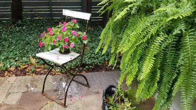 Antique French Bistro Chair & French pail - Burlington, View more