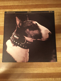 Record Album Vinyl LP-The PIXIES-5 SONG 12”