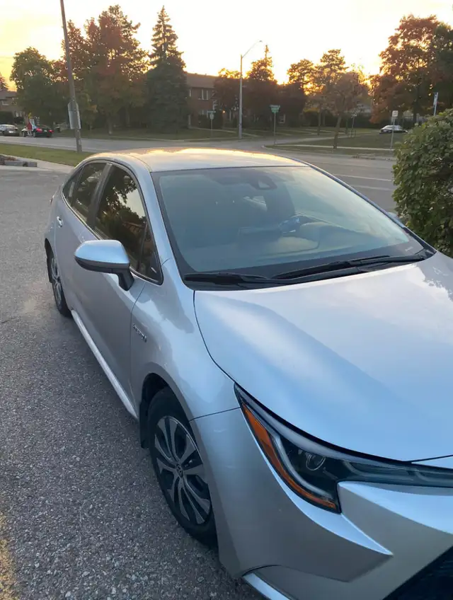Driving lessons63280411694595121
