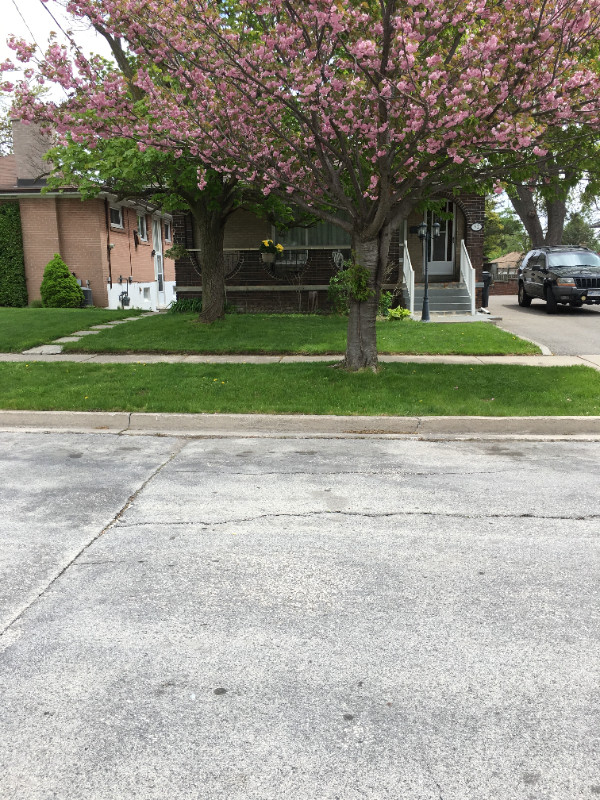 2 BR Basement Rental Etobicoke Long Term Rentals City of Toronto