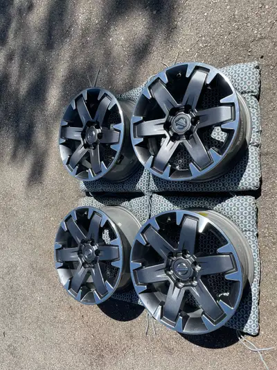 Set of four Nissan OEM Pro-4X rims. Excellent condition. Factory rims on 2014 and newer Xterra and F...
