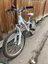20”kids trail bike suspension gears