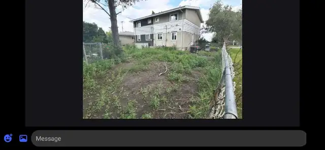 grass gone 497670668839168000