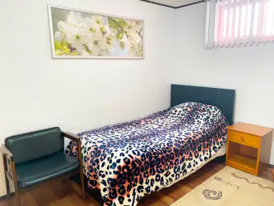 LARGE FURNISHED RENOVATED BACHELOR in BASEMENT-SEPARATE KITCHEN