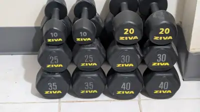 Dumbbells, sets of two each, 10/20/25/30/35/40, 320 pounds total, selling as a set only. $500 firm