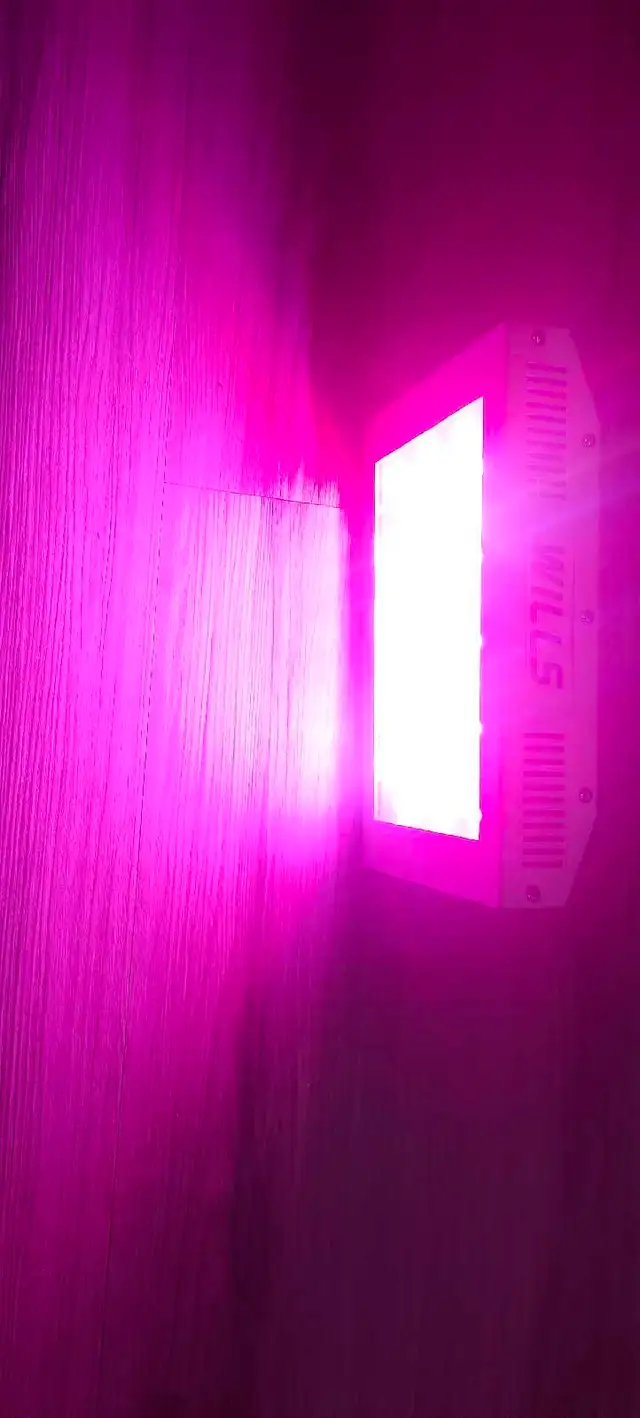 Wills grow light W-D6 600W. Barely used. Double switch 528038488892385283