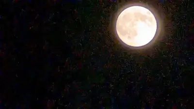 Hi I am new to the area looking for a 3 bdrm for me an my girls . Would like to stay close to woodla...