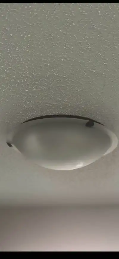 2 x Ceiling light fixture with Lightbulbs, View more