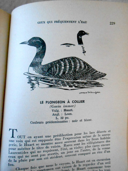 2 Vieux Livres Observation des Oiseaux - Ornithologie dans Manuels  à Sherbrooke - Image 4