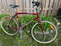 Velo Specialized  Bike Cadre XL, 22” frame