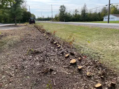 Stump Grinding, View more