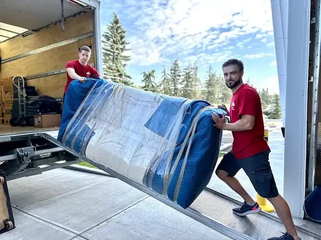Professional Movers Moving Piano Movers Delivery