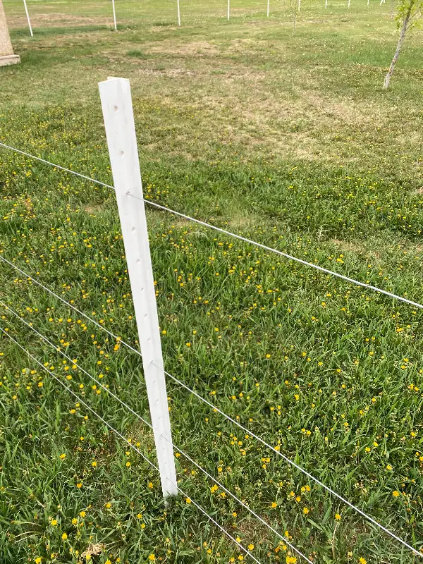 Electric fence supplies in Livestock in Lethbridge - Image 11