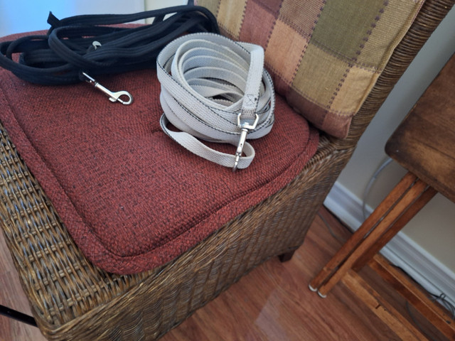 Longue laisses pour chien ou chat dans Accessoires  à Laval/Rive Nord