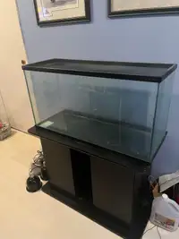 35 Gallon Fish tank, reptile screen, & stand 