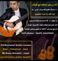 Professional guitar lessons 
