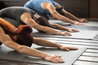 Spring Yoga Class at Notre Dame Recreation Centre