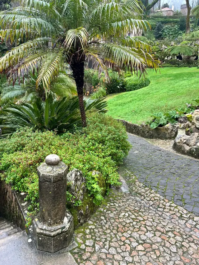 Backyard /Garden clean up help432178392697425922