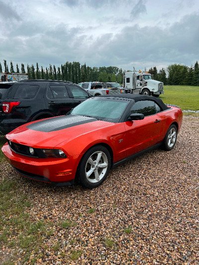 2010 ford mustang GT convertible