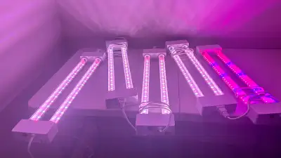 Growing lights for plants, View more