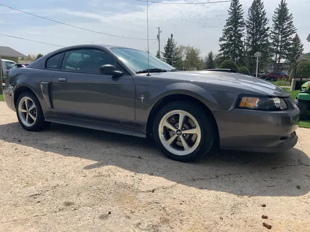 2003 Mustang Mach 1544786020042035205