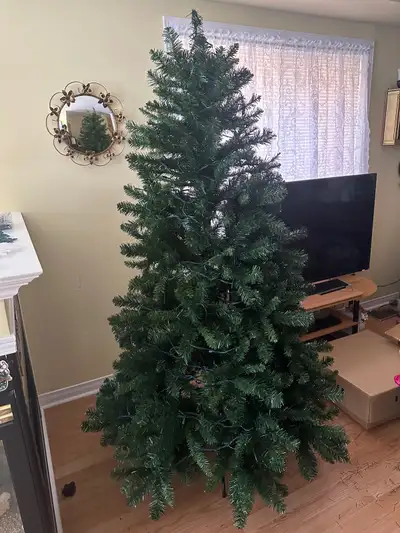 Indoor Christmas Tree, View more