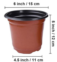 Plastic Pots, 6 Inch Plant Starting Containers (80 in a pack)