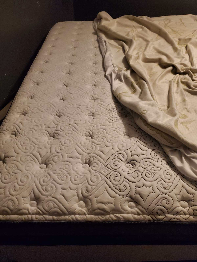 Trades! I'm looking for a double mattress and box spring set in Beds & Mattresses in Red Deer