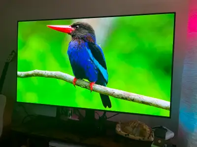 LG 55 INCH OLED TV A1, View more