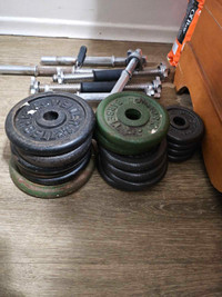 Weight plates and dumbells 